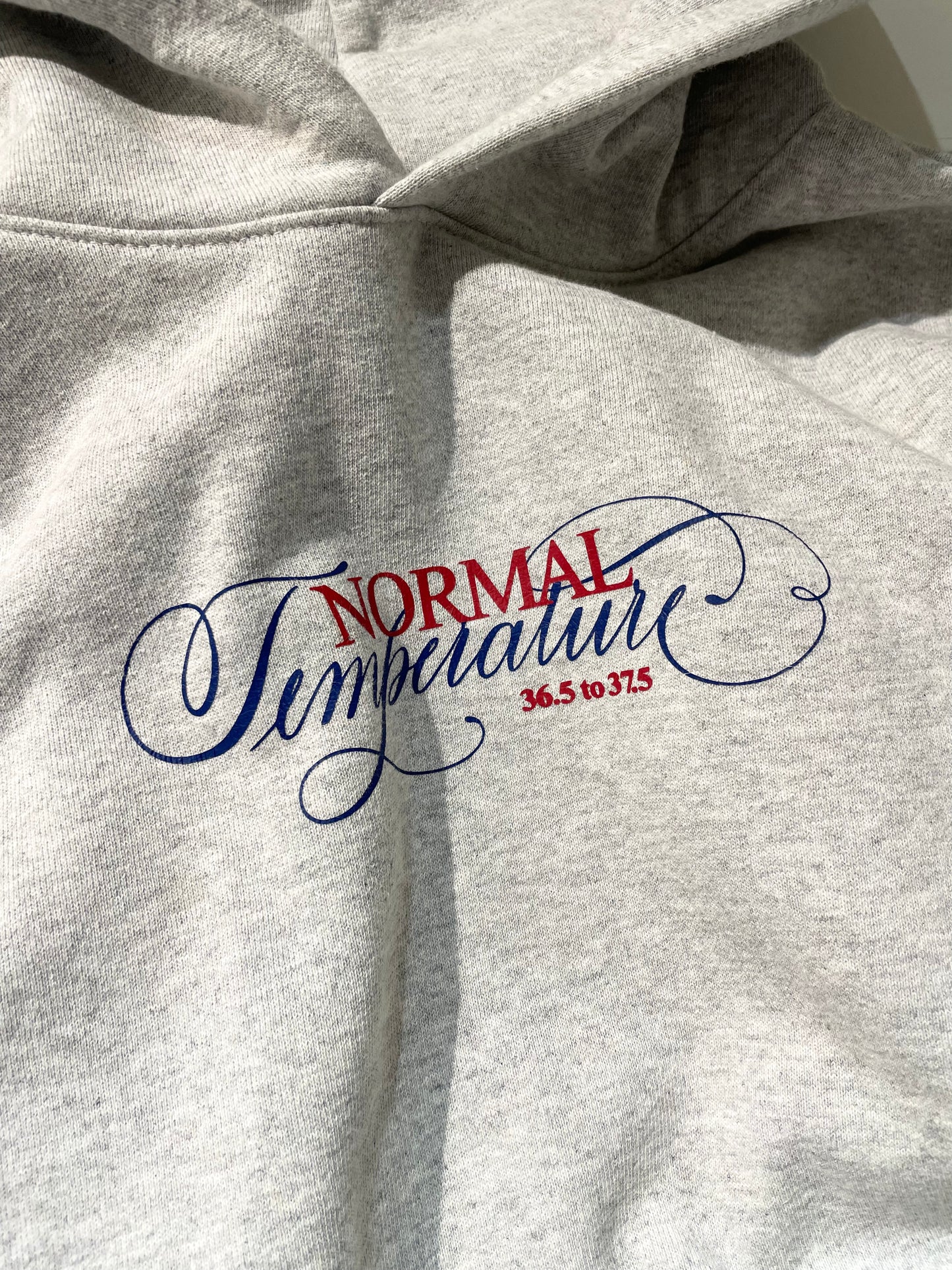 Normal Temperature 14oz. Cali Script Heavy Fleece Hoodie