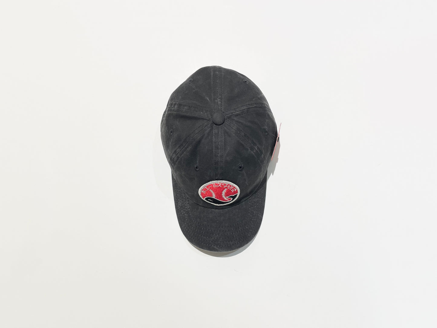 American Needle Archive Pigment Washed Cap - Taiyo Whales
