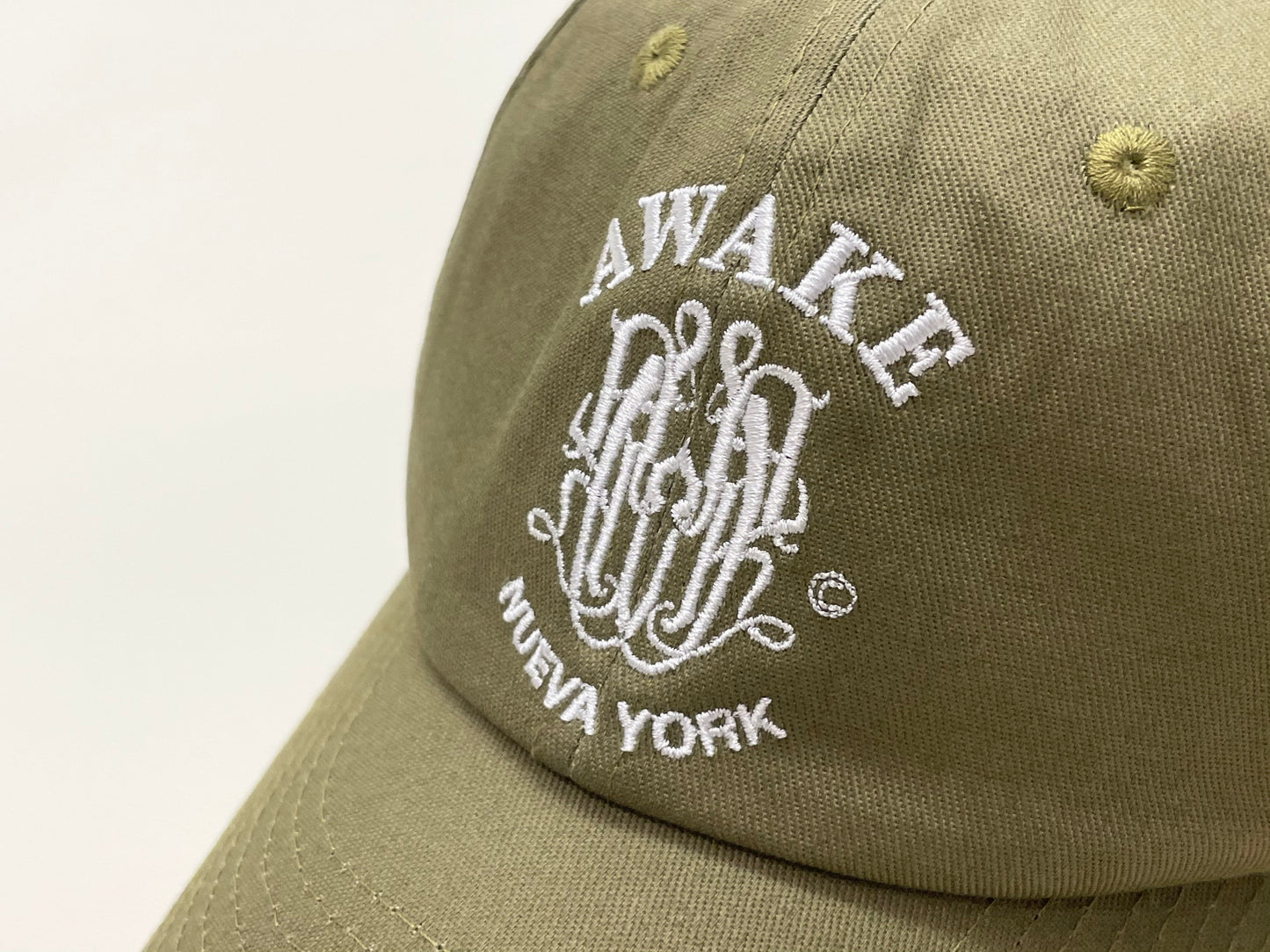 Awake NY Nueva York Crest 6-panel Cap