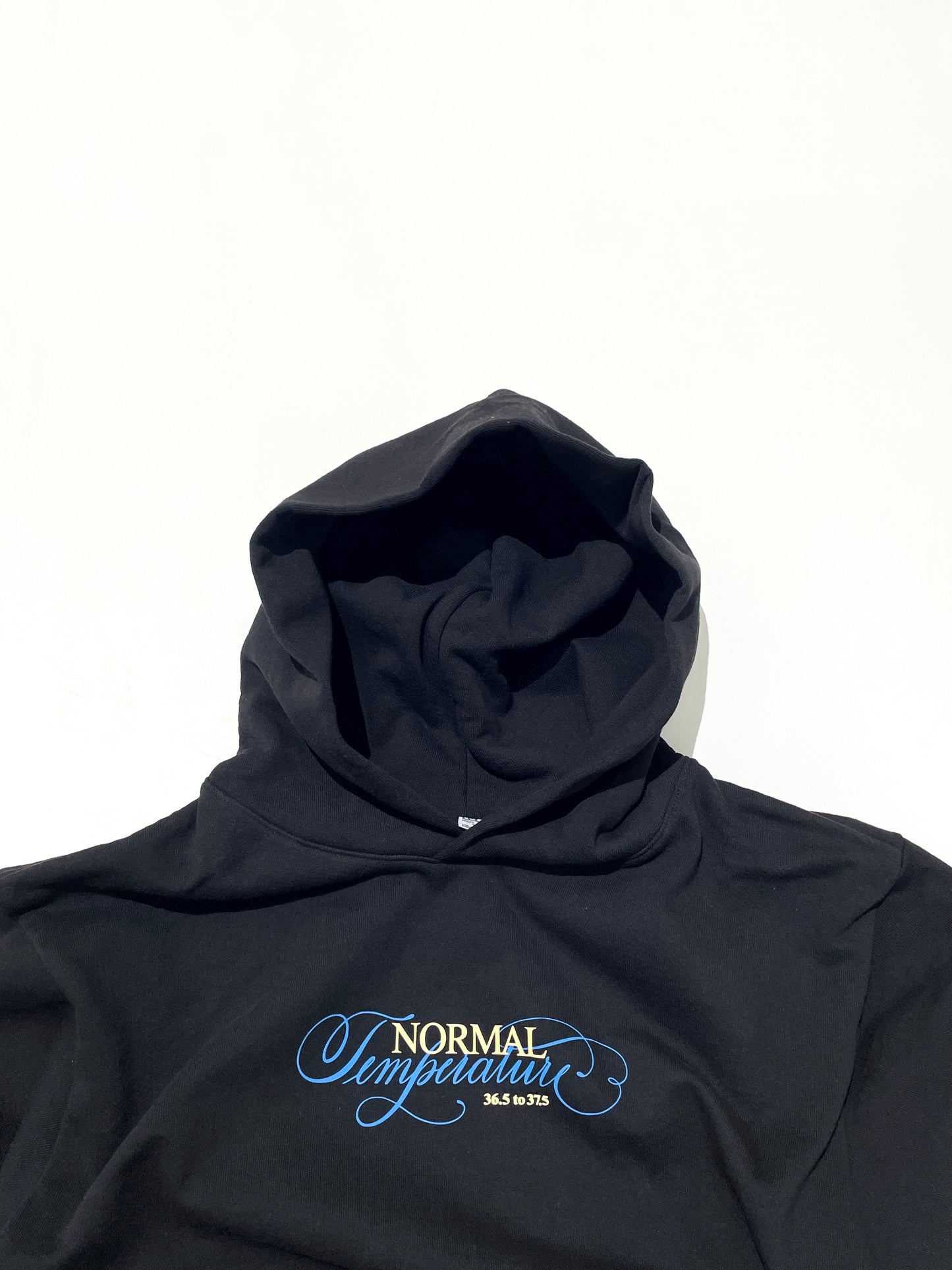 Normal Temperature 14oz. Cali Script Heavy Fleece Hoodie