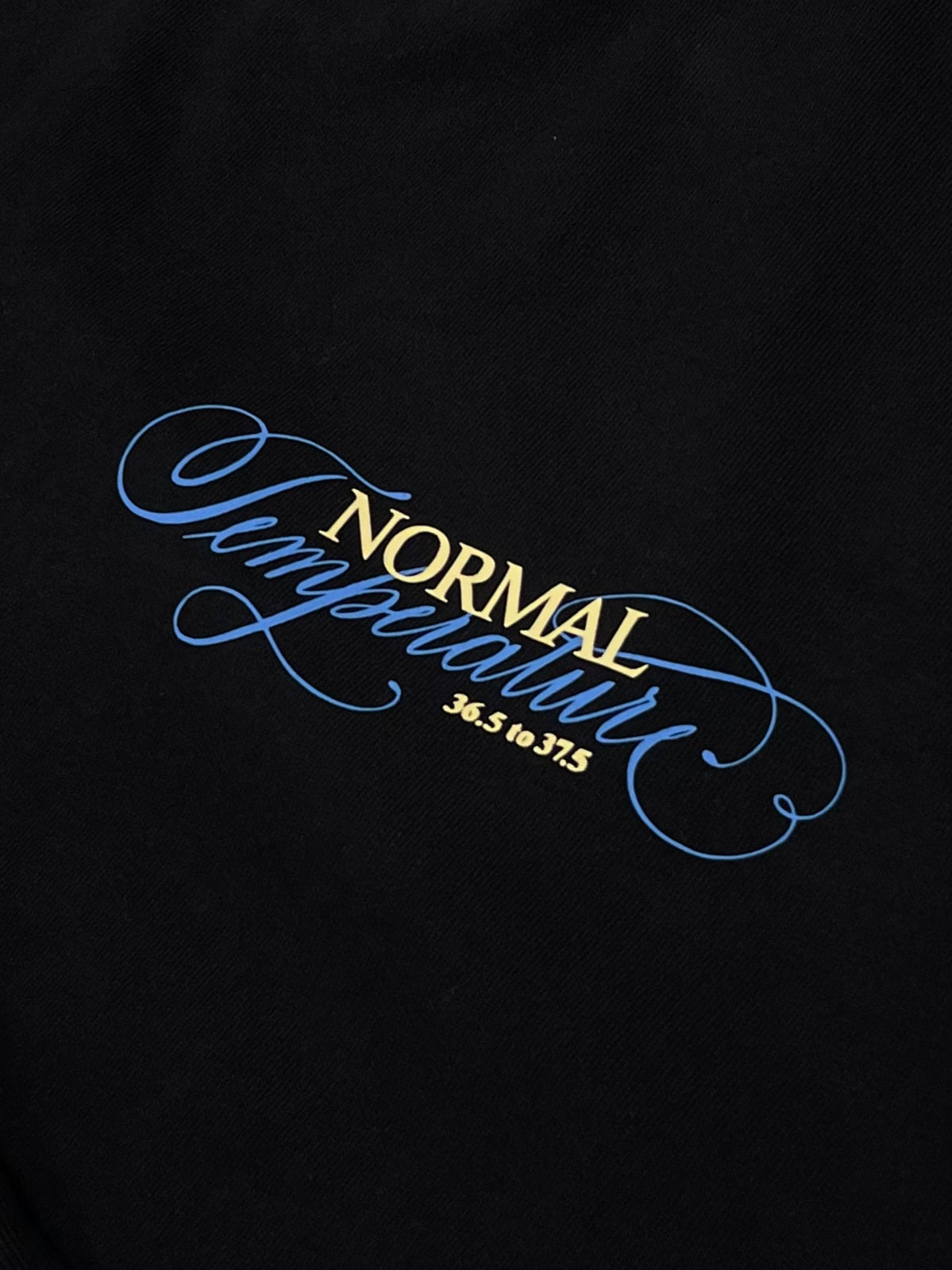 Normal Temperature 6.5oz Cali Script L/S T-Shirt