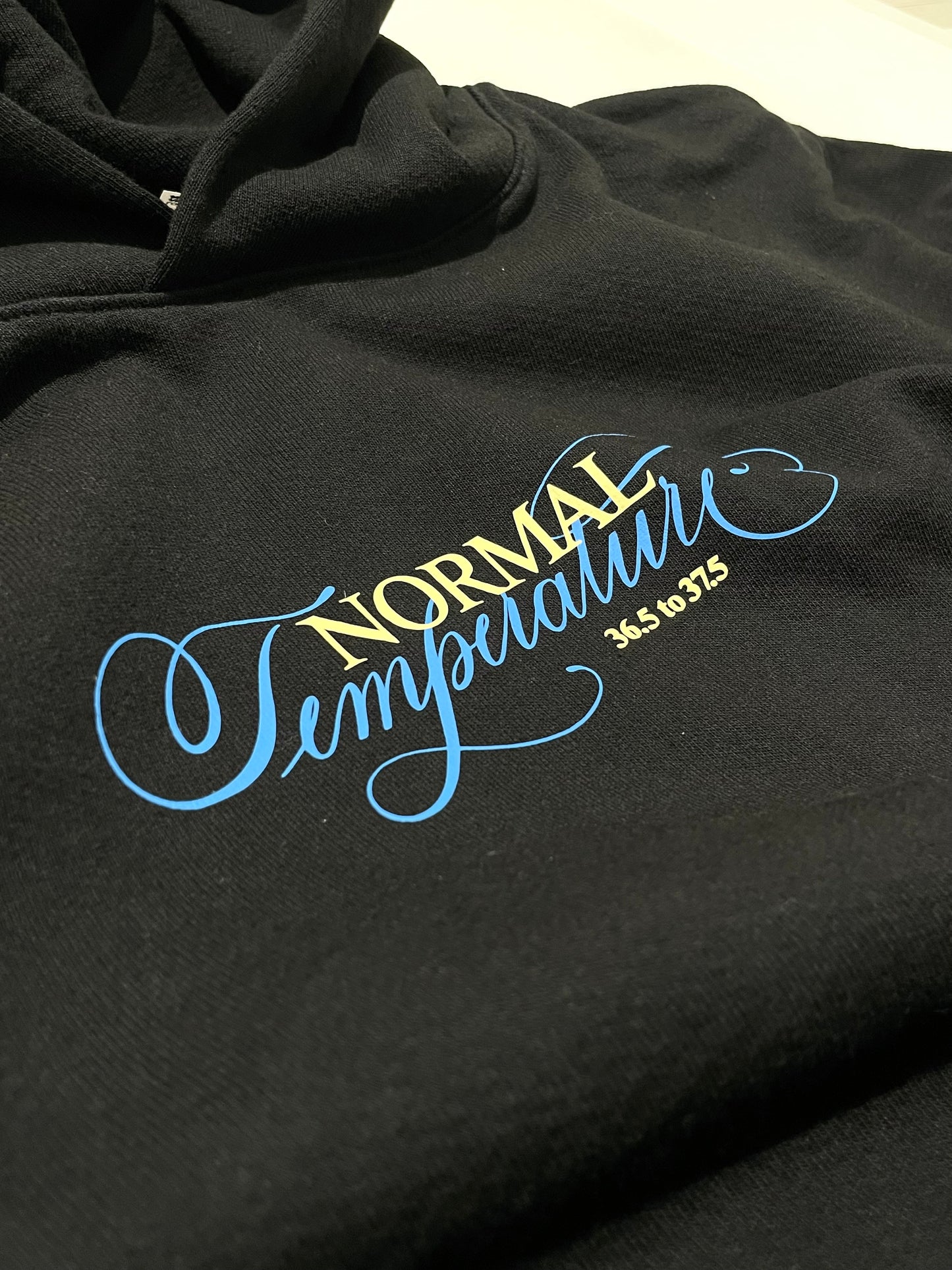 Normal Temperature 14oz. Cali Script Heavy Fleece Hoodie